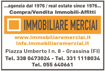 logo-immobiliare-merciai